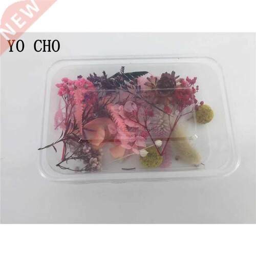 1 Box Real Dried Fresh Eternal Flower Dry Plant Aromatherap