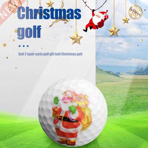 2-Layer Sarin Golf Training Ball Golf Balls Beginners