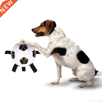 Interactive Dog Toys Pet Football Toys Dog Outdoor training