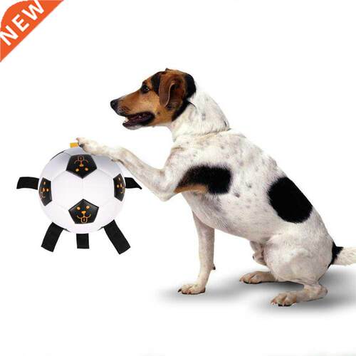 Interactive Dog Toys Pet Football Toys Dog Outdoor training
