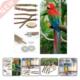 Raw Wood Fork 2021Dropshipping Rack Parrot Stand Toy Pet