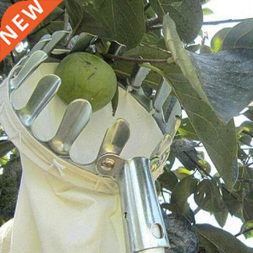 Metal Fruit Picker Fruits Collection Picking Head Tool