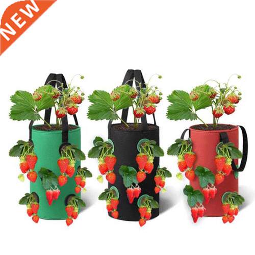 Gal 12 holes Strawberry grow pot bags Plants Flower Tomato