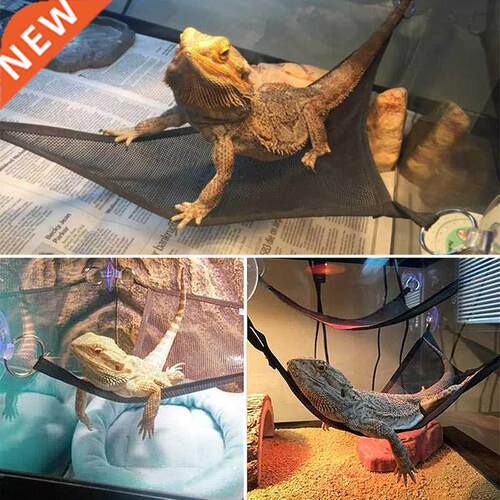 for Snake Lizard Reptile Hammock Mesh Sleeping Bed Play