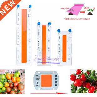 1pcs Hydroponice AC 220V /110v 20W 30W 50w 70W led grow chip