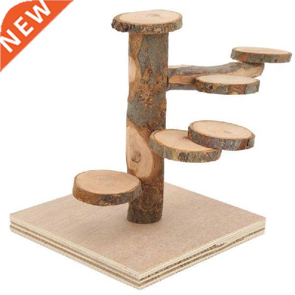 Hamster Playground Stand Ladder Natural Quick Installation