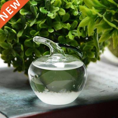 Creative Glass Weather Forecaster Liquid Barometer Predictor
