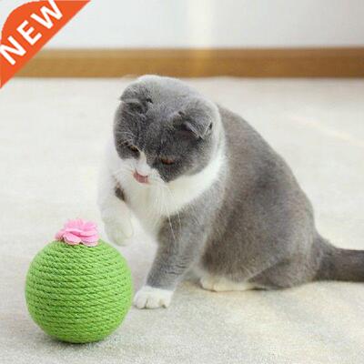 Pet Accessories Catnip Toy Cat Scratching Ball Toys Cactus