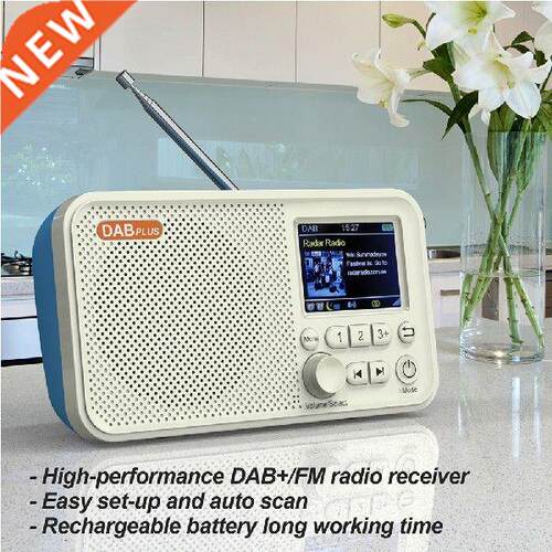 Mini A1 C10 2.4 inch DAB DAB+ FM Digital Radio with
