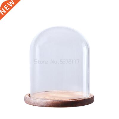 Clear Glass Dome Bell Jar Cloche Display Wooden Base With