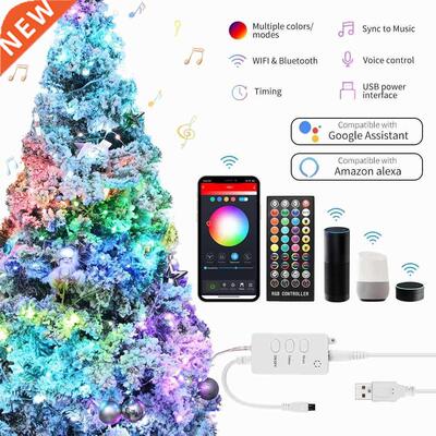 10M LED String Light Copper Wire Fairy Light RGB USB WIFI Bl