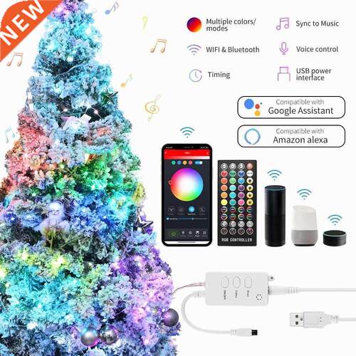10M LED String Light Copper Wire Fairy Light RGB USB WIFI Bl