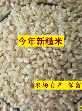 今年带胚芽新糙米225g小包装杂粮