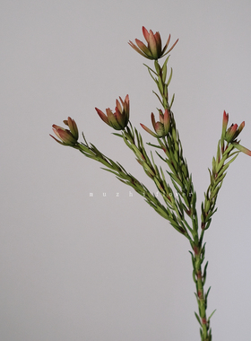 轻奢高端ins风木百合仿真花束客厅装饰花艺插花小众花材家居摆件