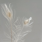 ins风米白色孔雀毛羽毛家居饰品圣诞装 饰摆设软装 设计店铺陈列