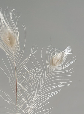ins风米白色孔雀毛羽毛家居饰品圣诞装饰摆设软装设计店铺陈列