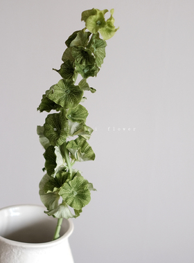 高端轻奢ins小清新绿色银元藤仿真花叶客厅插花家居装饰桌面摆设