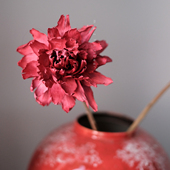 高级感红色干花束牡丹玉兰绣球天然真花轻奢高端客厅装 饰永生花