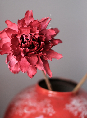 高级感红色干花束牡丹玉兰绣球天然真花轻奢高端客厅装饰永生花
