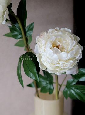 月光牡丹白芍药仿真花客厅插花