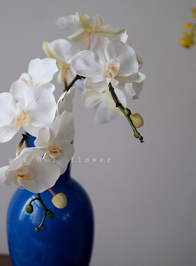 muzhiflower轻奢高端白色蝴蝶兰