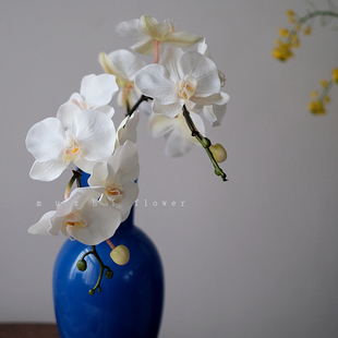 白色蝴蝶兰仿真花高级感逼真单枝假花装 饰插花花艺样板间客厅摆件