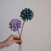 小玉兰干花花束高级感真花适合客厅放 饰摆件桌面摆设 干花客厅装