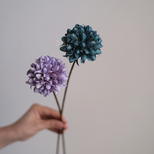 小玉兰干花花束高级感真花适合客厅放 饰摆件桌面摆设 干花客厅装