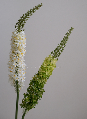 轻奢高端大飞燕仿真花狐尾大枝高枝花材花艺软装空间陈设客厅插花