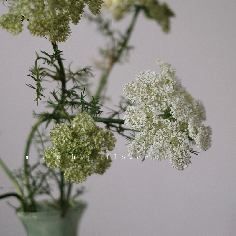 muzhi蕾丝花仿真花束客厅插花