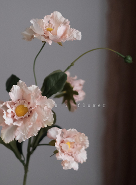 白色雏菊仿真花轻奢高端客厅插花装饰高级感逼真家居摆设餐桌花艺