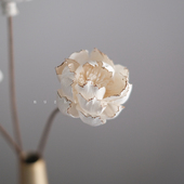 小香芍药干花花束客厅摆设高级感真花风干天然通草花客厅摆设装 饰