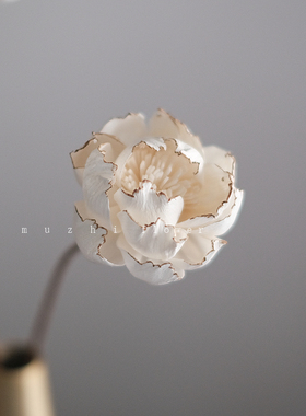 小香芍药干花花束客厅摆设高级感真花风干天然通草花客厅摆设装饰