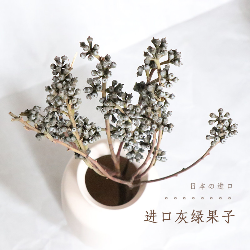 永生花diy材料灰绿果子尤加利果桉树果干花束家居饰品拍摄道具