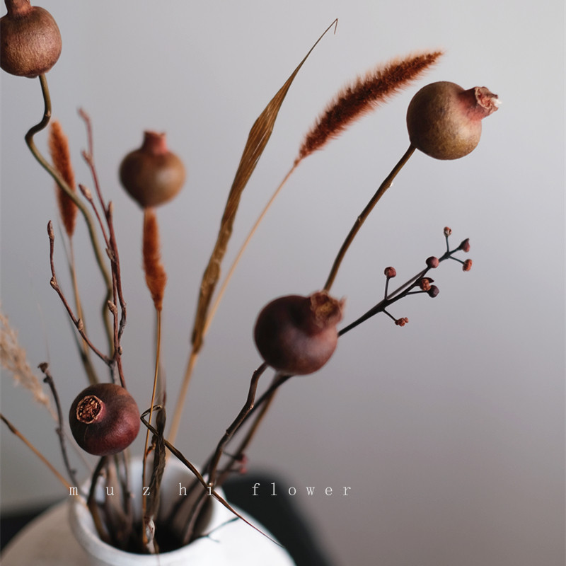 石榴干花果树枝干花花束天然植物客厅摆设侘寂风高级感真花装饰
