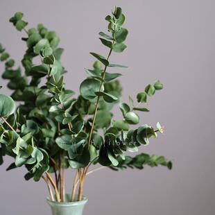 苹果尤加利叶仿真花束高级感逼真假花永生花轻奢高端客厅插花摆设