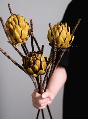 雪莲干花花束客厅摆设轻奢天然高级感真花桌面装饰摆件高端永生花