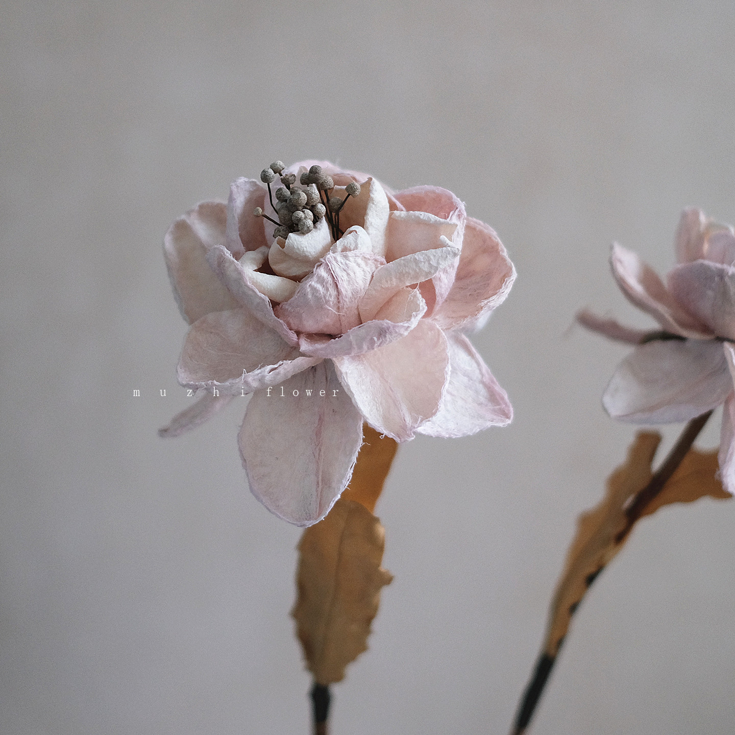 牡丹芍药手工干花束真花永生花图片