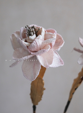 牡丹芍药手工干花束真花永生花