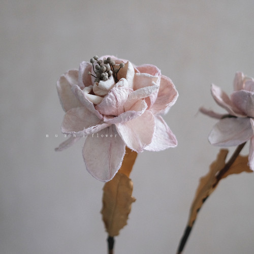 牡丹芍药手工干花束真花永生花
