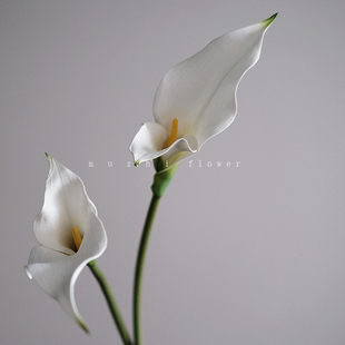 饰假花 手感马蹄莲仿真花轻奢高端客厅插花桌面花艺摆件高级家居装