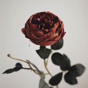 奥斯汀玫瑰花仿真花高档假花轻奢高端客厅摆设绢花艺插花装 饰花卉