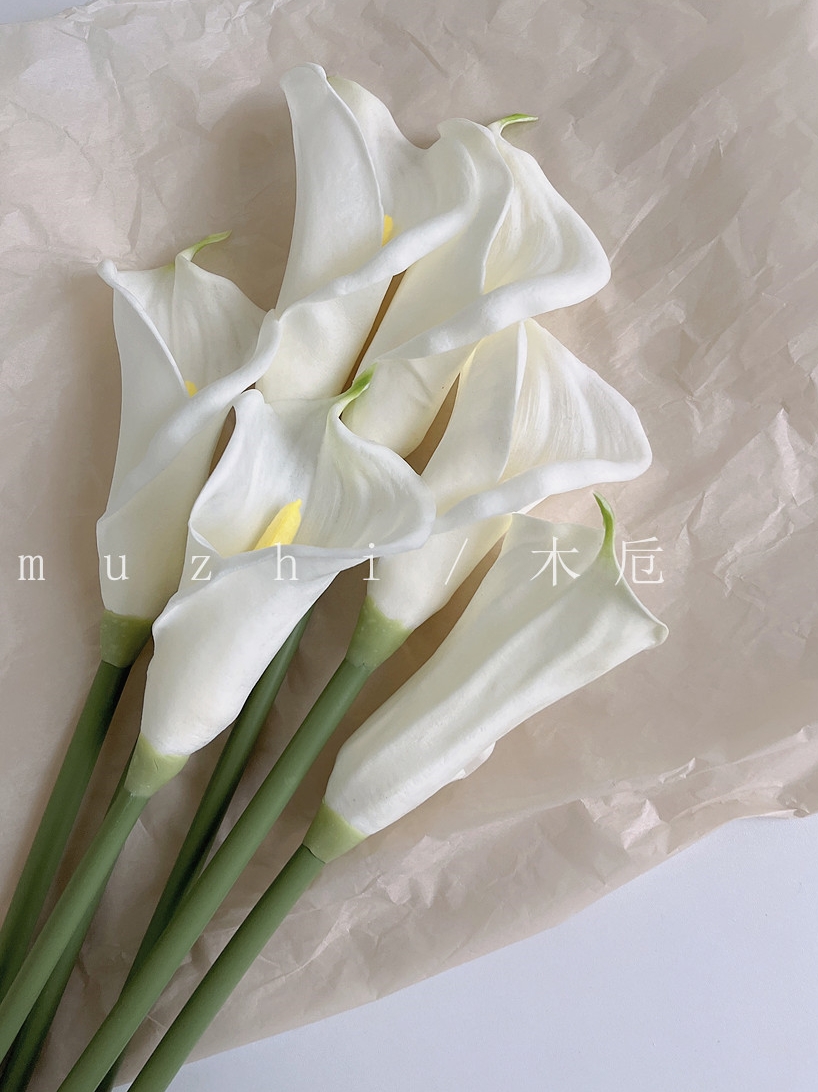 轻奢高级感逼真马蹄莲仿真花