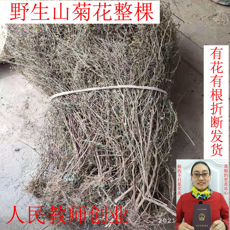 野山菊花全颗折断发货有根有叶有花朵晒干另外售野菊花根野菊花