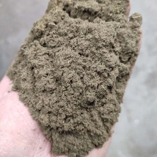 野生陈艾灰粉末 艾灰 艾绒废弃物一件5斤 伏牛山野生陈艾叶艾草