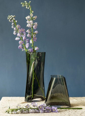 Nude努德 土耳其进口创意北欧式水晶玻璃花瓶摆件客厅插花器