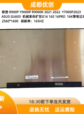 NE160QDM NY1 MNG007DA1-1 2.5K Y9000P R9000P 2021液晶屏165hz