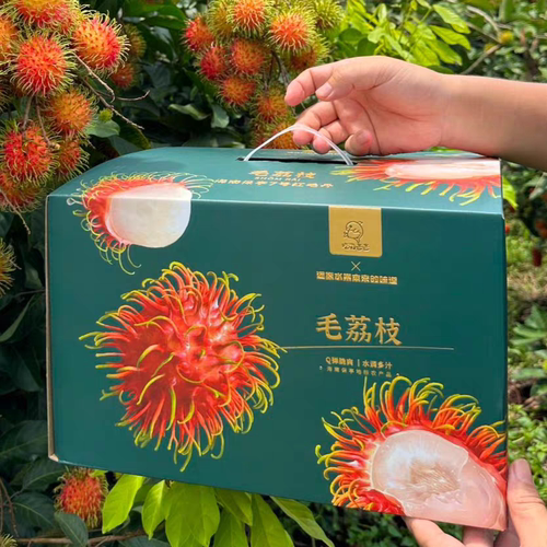 毛荔枝海南保亭7号红毛丹Q弹甜蜜需冷藏现摘新鲜水果当季顺丰空运
