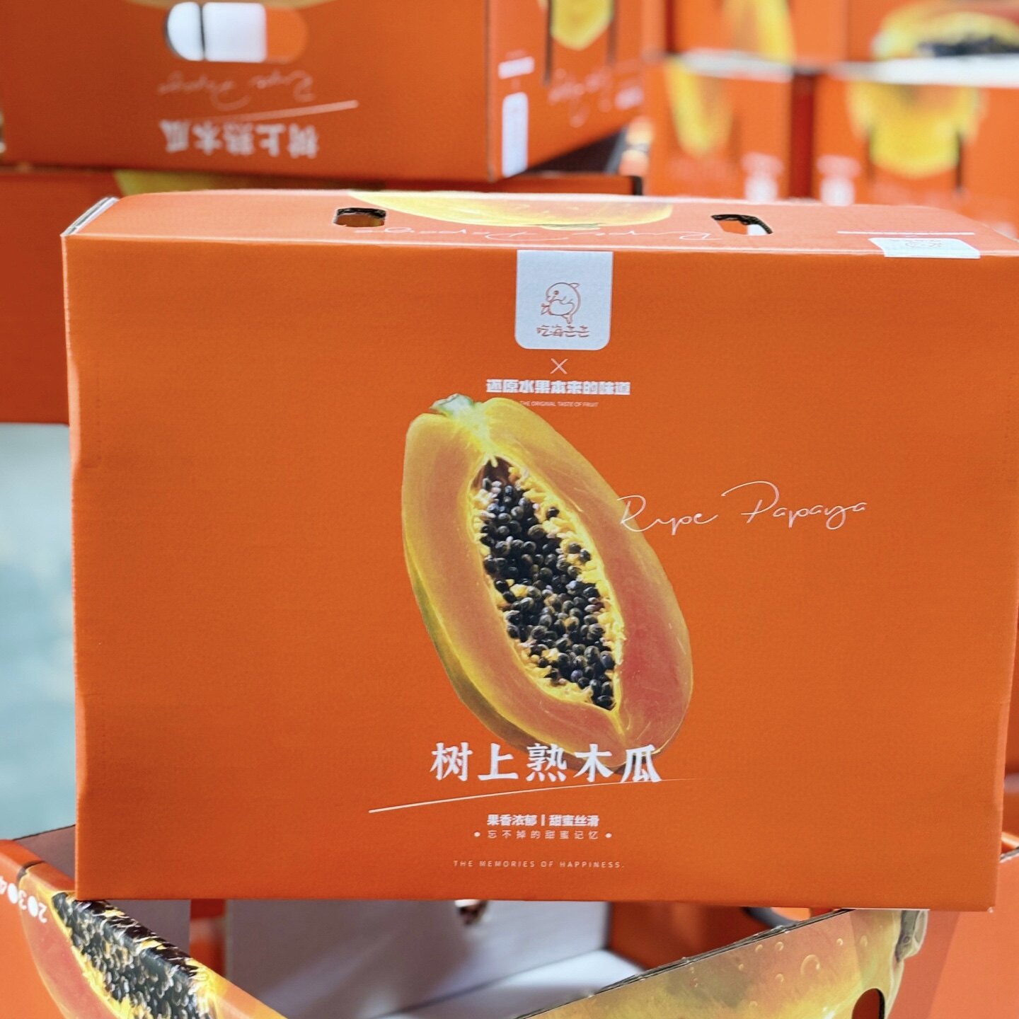 吃海芒芒牛奶木瓜树上熟海南老树木瓜