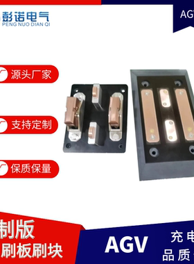 AGV刷板刷块  充电100A 四电极 PNSB/K-100A/IV黑色电木版
